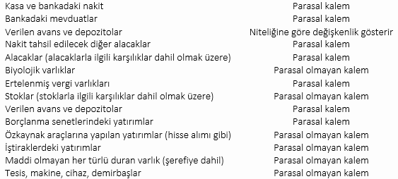 Varlık kalemleri tablosu: nakit, mevduat, alacaklar, ertelenmiş vergi varlıkları ve borçlanma senetleri parasal kalem; biyolojik varlıklar, stoklar, hisse yatırımları, iştirakler, maddi ve maddi olmayan duran varlıklar parasal olmayan kalem; verilen avans ve depozitolar niteliğine göre değişir
