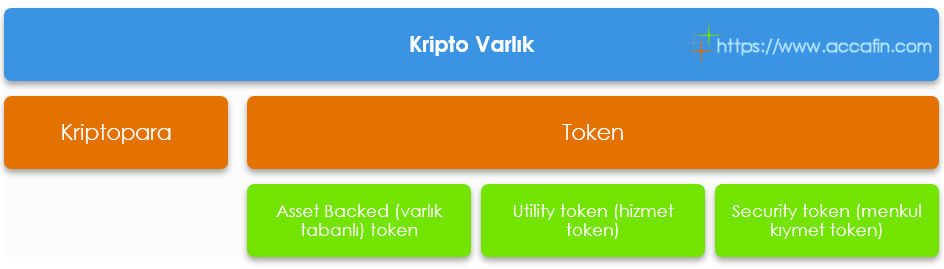 Kripto varlıkların sınıflandırması: kriptopara ve token; token alt türleri varlık tabanlı token, hizmet tokeni ve menkul kıymet tokeni