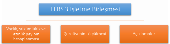 TFRS 3 İşletme Birleşmesi şeması: varlık, yükümlülük ve azınlık payının hesaplanması, şerefiyenin ölçülmesi, açıklamalar